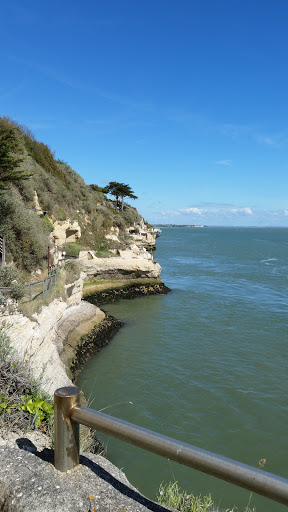 MESCHERS-SUR-GIRONDE - Vergnes - France