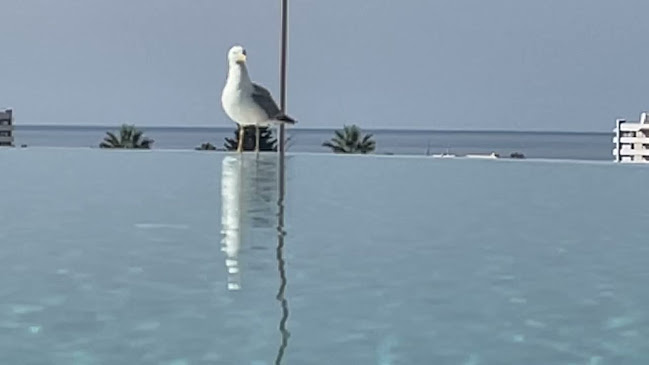 Comentários e avaliações sobre o Longevity Health & Wellness Hotel
