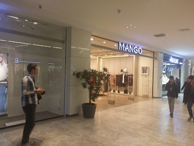 Photos of Mango