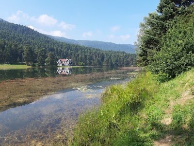 Aladağ Gençlik Kampı