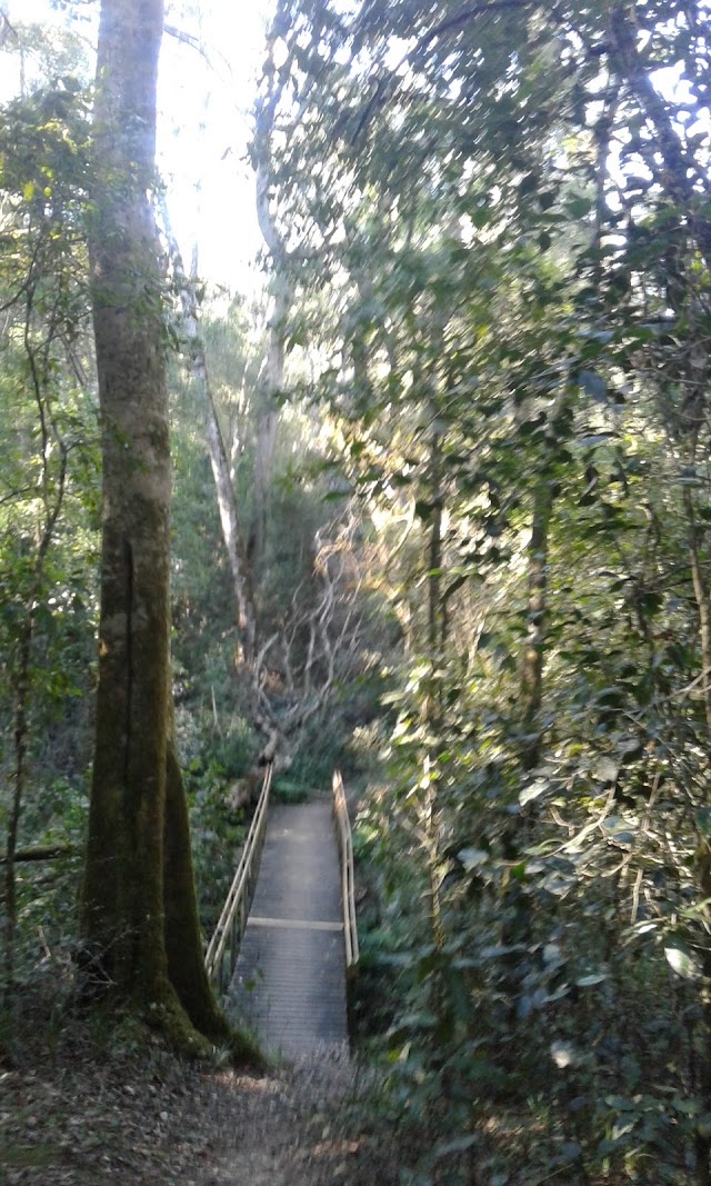Kringe In N Bos Hiking Trail