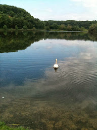 Photo n°43 de Restaurant Le Pavillon Bleu à Villey-Saint-Étienne (Restaurant français)