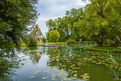 Bürgerpark Merxleben - Visual