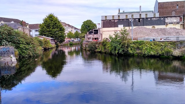 Saint Fin Barre's Cathedral