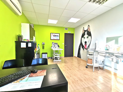 Husse Veterinary Center - Thumbnail