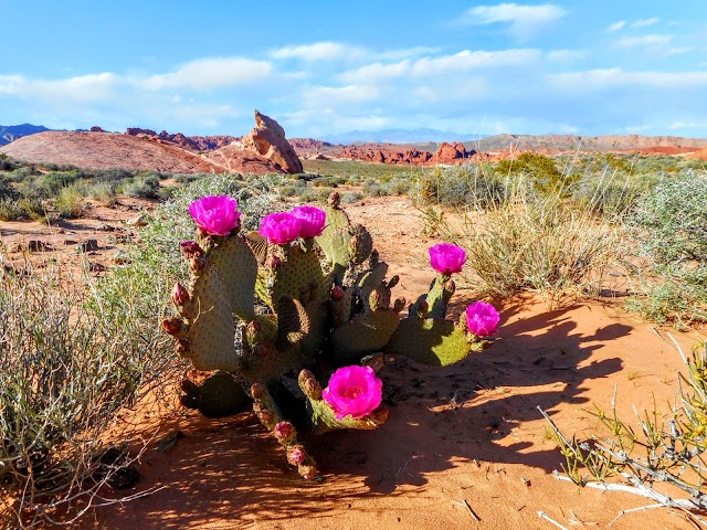 Valley of Fire