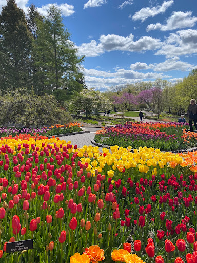 Minnesota Landscape Arboretum Gallery - United States