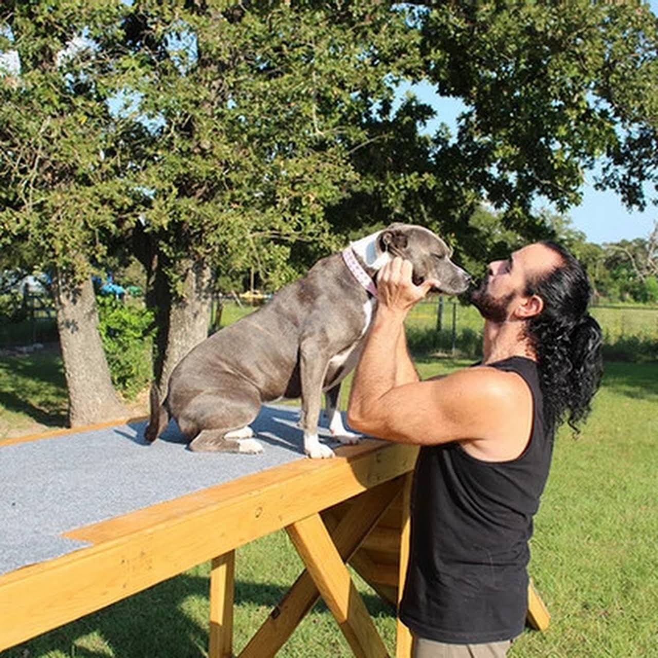 K9 Sensei Dog Training & Boarding K9 Sensei offers dog training