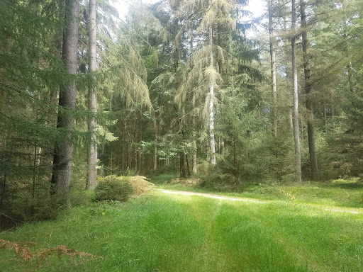 Waldsportplatz Bollendorf "Gärtchen: - Thumbnail