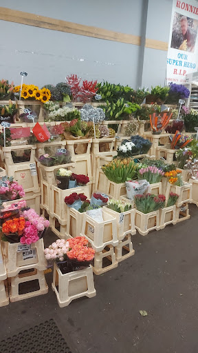 The Flowered Corner - Visual