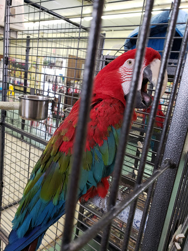 The Pet Supply - Thumbnail