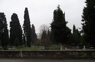 Kurtköy Cemetery