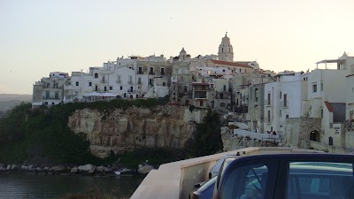 Photos of White Hotel Resort