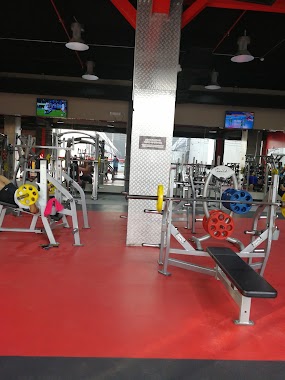 Fitness Time, Author: سفستفيشن