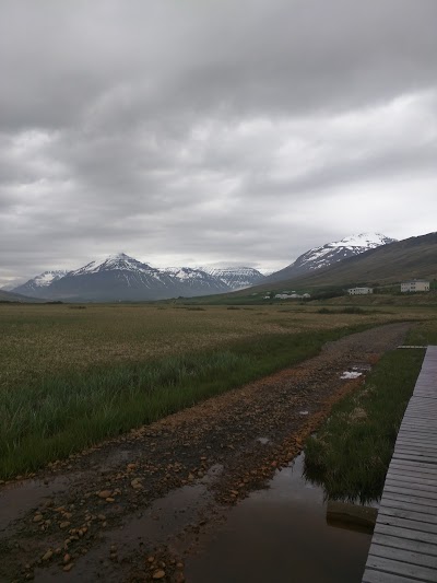 Photos of H&uacute;sabakki Hostel