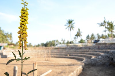 Photos of Taman Petanu Eco Neighborhood