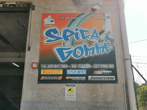 Spica gomme - Visual