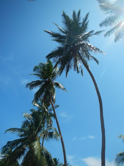 Photos of Arugam Bay Beach ආරුගම් බොක්ක වෙරළ