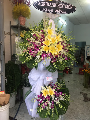 Hoa tươi Chito - Hoa Tươi Huyện Hóc Môn - Tiệm hoa tại Huyện Hóc Môn, TP. Hồ Chí Minh