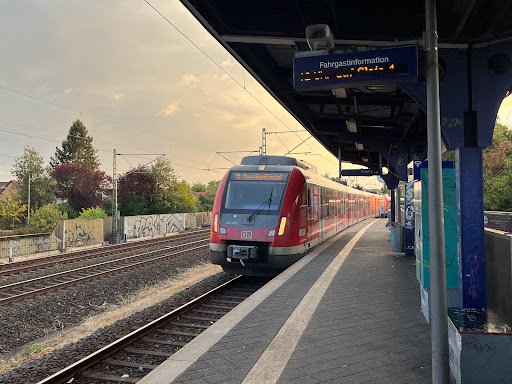 Steinheim - Thumbnail