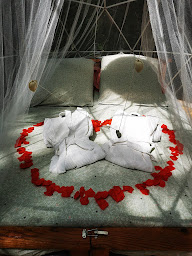 Photo n°15 de les bois de saint Auvent à La Geneytouse (Maison d'hôtes)