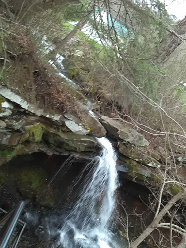 Town Springs - Thumbnail