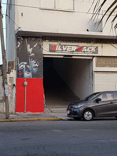 Silverback TC Gym - Thumbnail