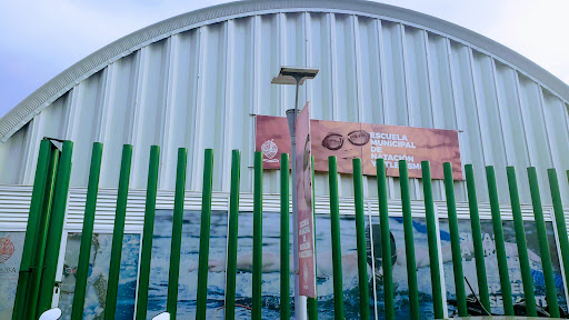 Escuela Municipal De Natacion Y Atletismo