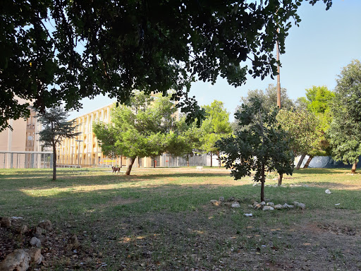 Parco Corvaglia - Thumbnail