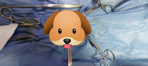 Veterinaria VIDA VET