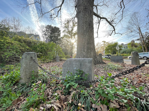 Tree That Owns Itself - Thumbnail