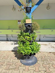 Photo n°19 de Camping Les Primevères à Leubringhen (Terrain de camping)