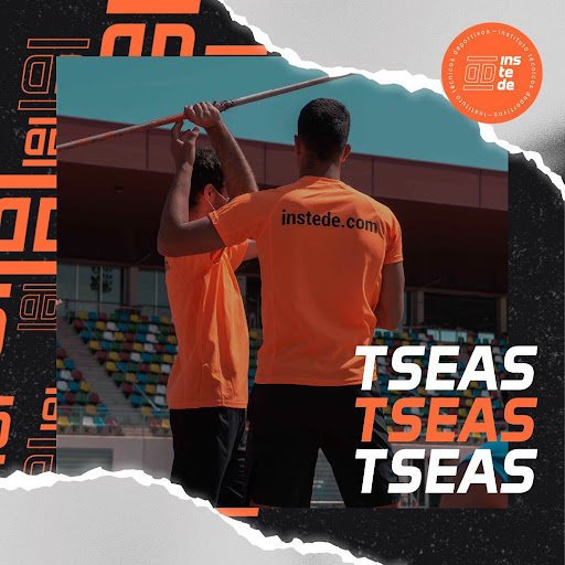 Instede Pozuelo TSEAS