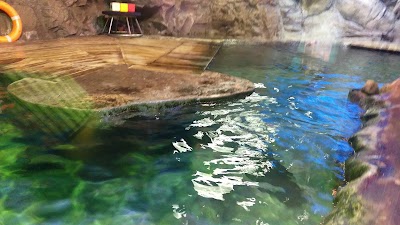 Photos of Okeanarium