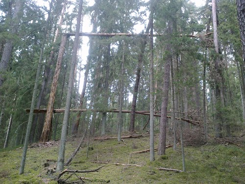 Taevaskoja-Kiidjärve Taevaskoja trail