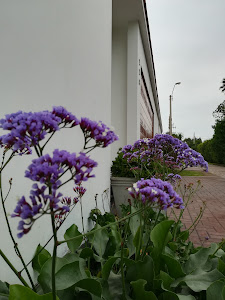 Pasaje Las Tapadas 9