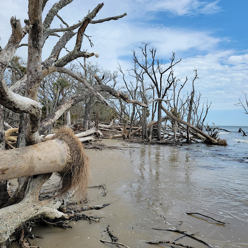 Boneyard Beach Parking - Thumbnail