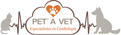 Photos of Hospital Veterinario Pet a Vet