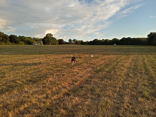 Vernons Camping Field Gallery - United Kingdom