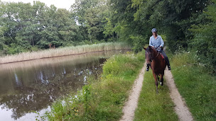 Photo n°21 de Ecurie de la Chiffogne à La Chassagne (Chambre d'hôtes)