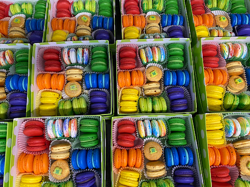 Crazy Macaron Lady - Visual