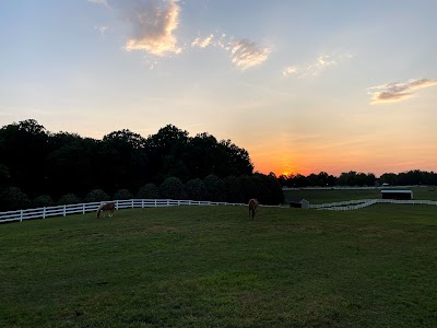 Carousel Park