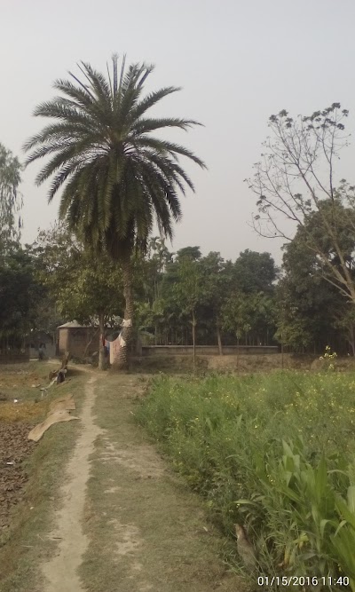 Photos of Masterpara Jame Mosjid (Anantaram)