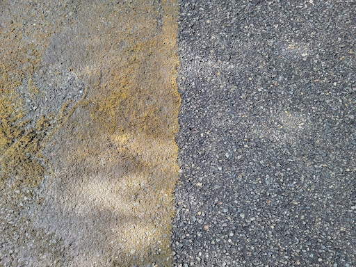 Clean Slate Northwest - Thumbnail
