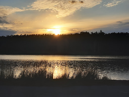 Torfstich