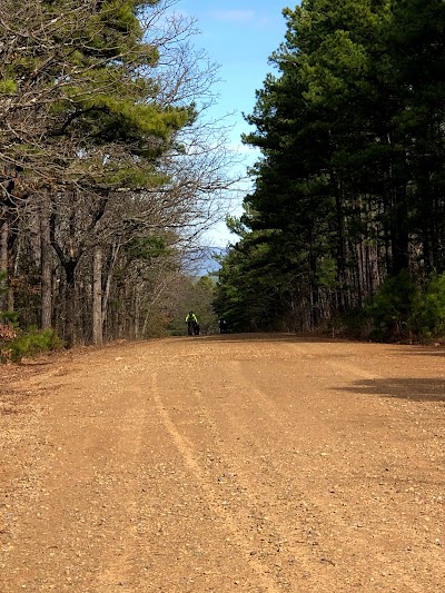 Talimena State Park