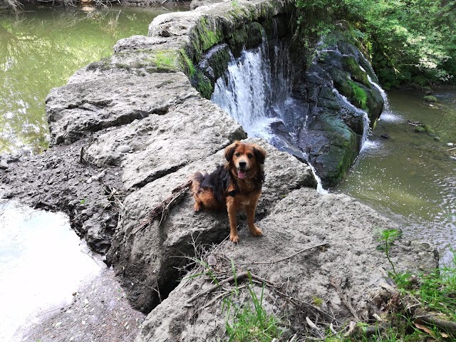 Geratser Wasserfall