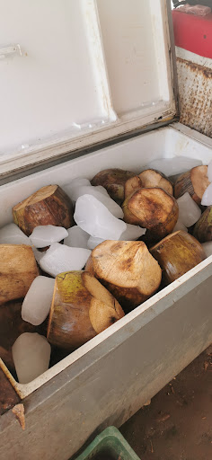 Cocos Frios "El Ojitos" Gallery - Mexico