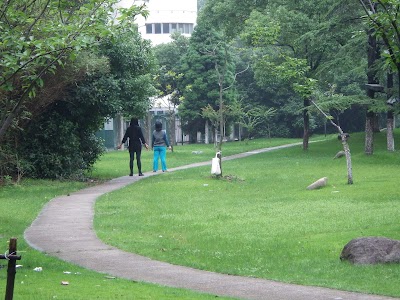 park