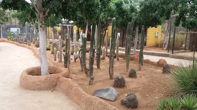 Tenerife Zoo Monkey Park